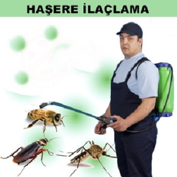 Termal Böcek İlaçlama